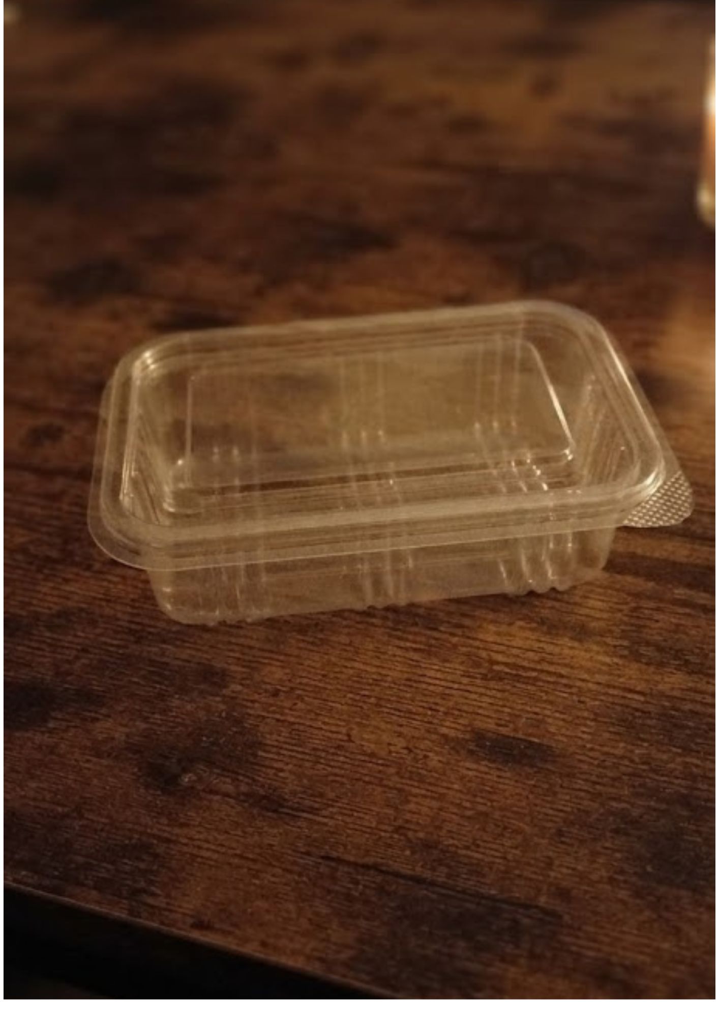 Clear Plastic Brownie Container — view 3